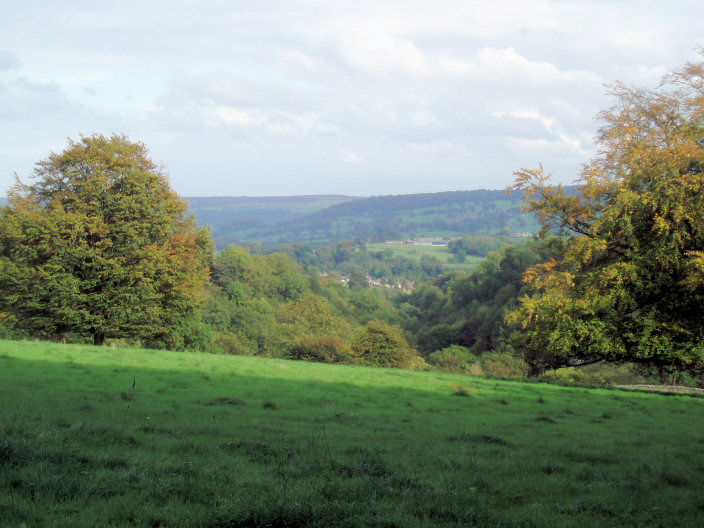 Above Bradford Dale Above Bradford Dale